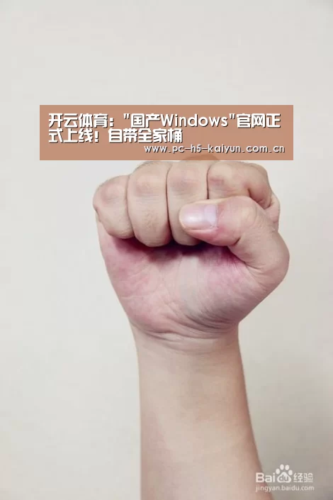 开云体育:国产Windows官网正式上线!自带全家桶(图1) 开云体育