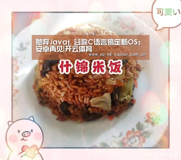 抛弃Java!谷歌C语言搞定新OS:安卓再见|开云体育(图1) 开云体育